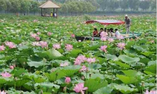 天津自驾游旅游攻略景点_天津自驾游旅游攻略景点推荐