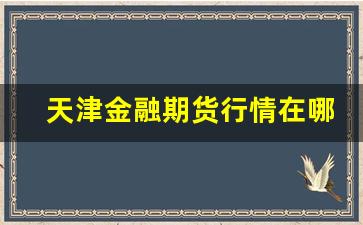 天津金融期货行情在哪看(天津期货市场)_https://www.jianghaiboli.com_原油期货_第1张