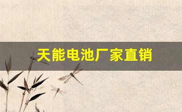 天能电池厂家直销(天能电池厂家直销12v120a价格)_https://www.gfdzclz.com_上交所_第1张
