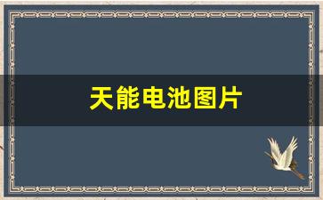 天能电池图片(天能电池图片大全 A+)_https://www.hangfeite.com_科创板_第1张