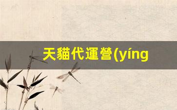 天貓代運營(yíng)好做么插圖