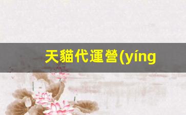 天貓代運營(yíng)服務(wù)商插圖