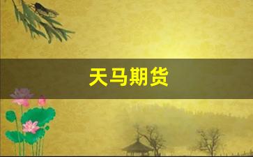 天马期货(st天马股票行情诊断)_https://www.gfdzclz.com_科创板_第1张