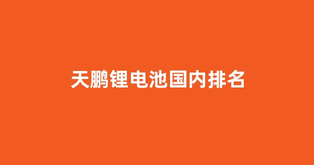 天鹏锂电池国内排名(天鹏锂电池质量怎么样)_https://www.nalian8.com_科创板_第1张
