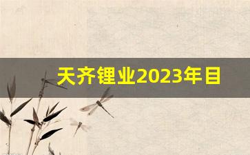 天齐锂业2023年目标价格(天齐锂业2021年即将爆发)_https://www.hangfeite.com_创业板_第1张