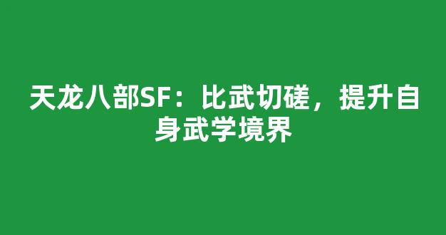 天龙八部SF：比武切磋，提升自身武学境界