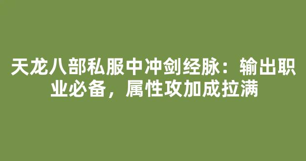 天龙八部私服中冲剑经脉：输出职业必备，属性攻加成拉满