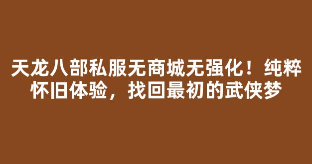 天龙八部私服无商城无强化！纯粹怀旧体验，找回最初的武侠梦