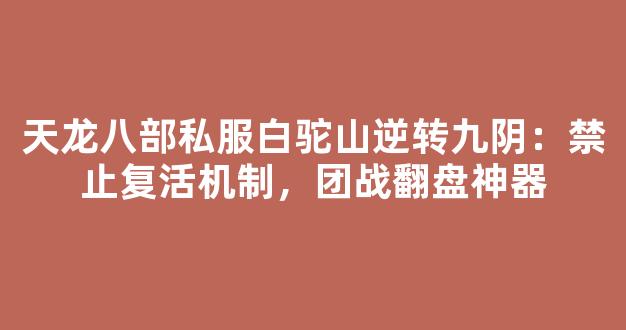 天龙八部私服白驼山逆转九阴：禁止复活机制，团战翻盘神器