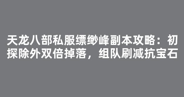 天龙八部私服缥缈峰副本攻略：初探除外双倍掉落，组队刷减抗宝石