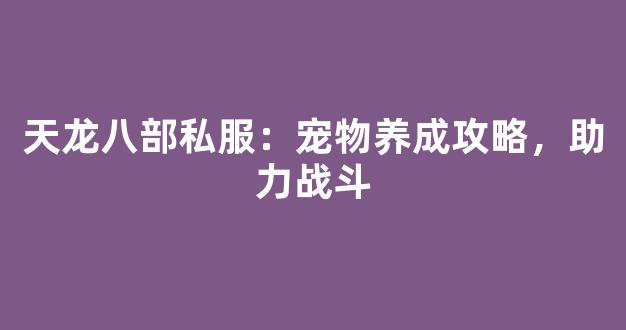 天龙八部私服：宠物养成攻略，助力战斗