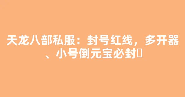 天龙八部私服：封号红线，多开器、小号倒元宝必封​