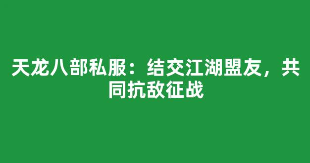 天龙八部私服：结交江湖盟友，共同抗敌征战