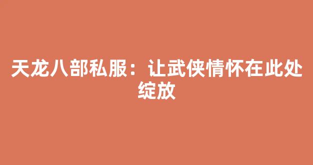 天龙八部私服：让武侠情怀在此处绽放