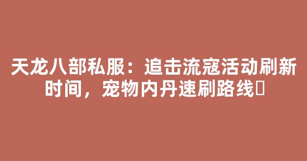 天龙八部私服：追击流寇活动刷新时间，宠物内丹速刷路线​