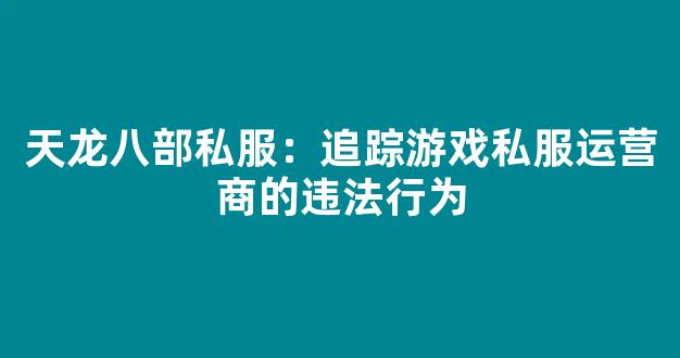 天龙八部私服：追踪游戏私服运营商的违法行为
