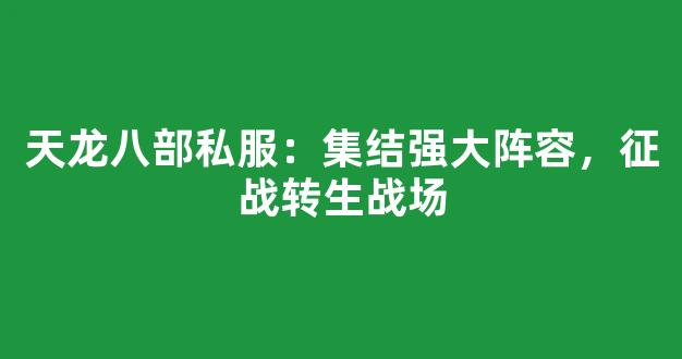 天龙八部私服：集结强大阵容，征战转生战场