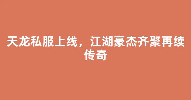 天龙私服上线，江湖豪杰齐聚再续传奇