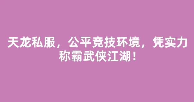 天龙私服，公平竞技环境，凭实力称霸武侠江湖！