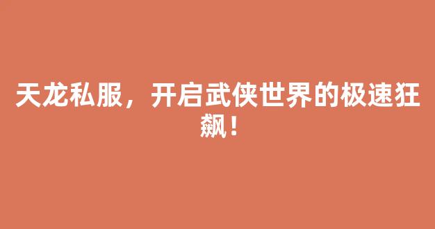 天龙私服，开启武侠世界的极速狂飙！