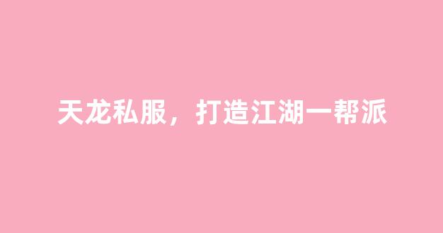 天龙私服，打造江湖第一帮派
