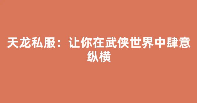 天龙私服：让你在武侠世界中肆意纵横
