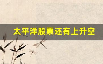 太平洋股票还有上升空间吗(太平洋股票还有上升空间吗现在)_https://www.heiljjianzu.com_创业板_第1张