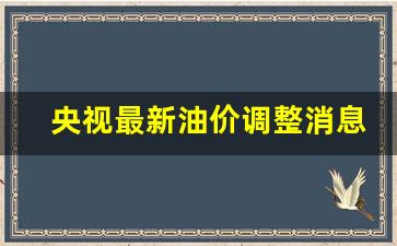 央视最新油价调整消息-央视新闻最新资讯