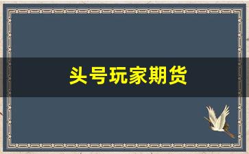 头号玩家期货(头号玩家讲解视频)_https://www.fzdzcxj.com_创业板_第1张