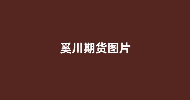 奚川期货图片(奚川 期货)_https://www.fzdzcxj.com_深交所_第1张