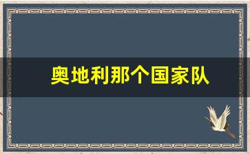 奥地利那个国家队-奥地利是强队吗