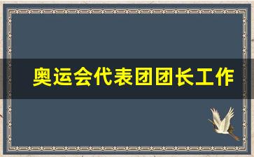 北京奥运会代表团团长是谁-奥运会代表团团长工作