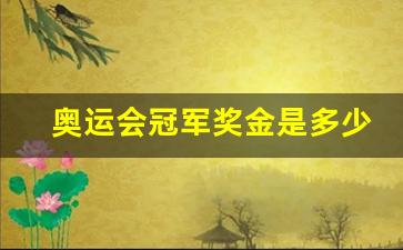 巴黎奥运会冠军奖金是多少-奥运会冠军奖金是多少