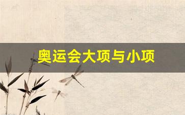 奥运会大项小项区别-奥运会大项与小项