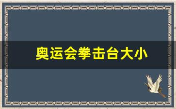 奥运会拳击台大小-奥运会拳击比赛规则及得分点