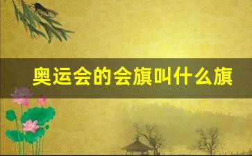奥运会的会旗叫什么旗-奥运会的会旗是什么样子的