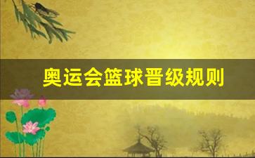 奥运会篮球比赛晋级规则-奥运会篮球晋级规则