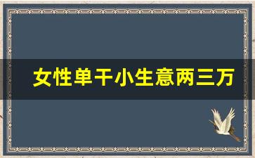 女性单干小生意两三万(女性单干小生意两三万合理吗)_https://www.brunchezvous.com_自由行_第1张
