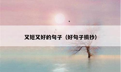 好句子摘抄 短句_好句子摘抄短句子