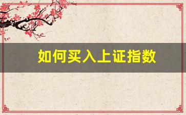 如何买入上证指数(上证指怎么买)_https://www.fzdzcxj.com_创业板_第1张
