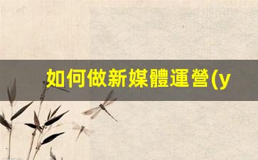 如何做新媒體運營(yíng)插圖