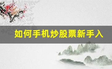 如何手机炒股票新手入门(手机如何炒股票入门知识)_https://www.dcjwmf.com_中金所_第1张