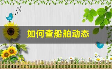 如何查船舶动态(如何查询船舶动态)_https://www.nalian8.com_科创板_第1张