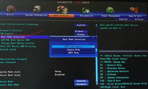 如何设置bios引导方式选项_如何设置bios引导方式选项