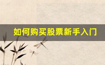 如何购买股票新手入门(怎么买股票入门基础知识)_https://www.jumanxin.com_北交所_第1张