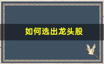 如何选出龙头股(选择龙头股的方法)_https://www.shshucaipeisong.com_科创板_第1张