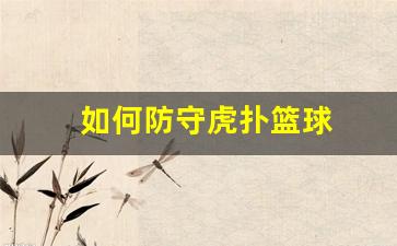如何防守虎扑篮球-虎扑 防区