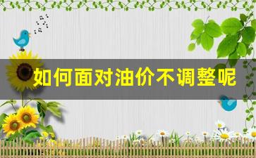 如何面对油价不调整呢-油价调节机制不公平