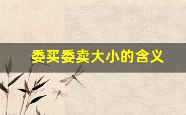 委买委卖大小的含义(委买委卖是成交了吗)_https://www.wanyuyiyao.com_深交所_第1张