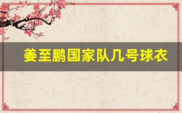 姜至鹏国家队几号球衣-姜至鹏道歉